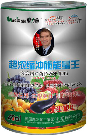 ����s�_ʩ������(������)