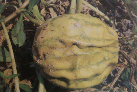 ���ϲ������������Ͽ�ή������Ϲ�ή����ô�k