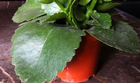 �L�ۻ��~��׃ܛ