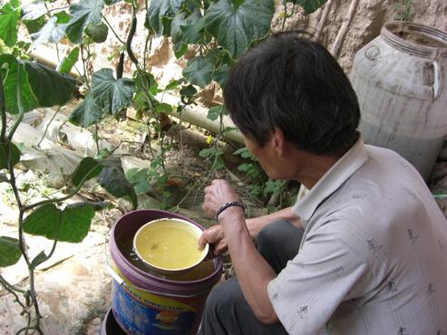 沖施肥作用效果 沖施肥作用效果