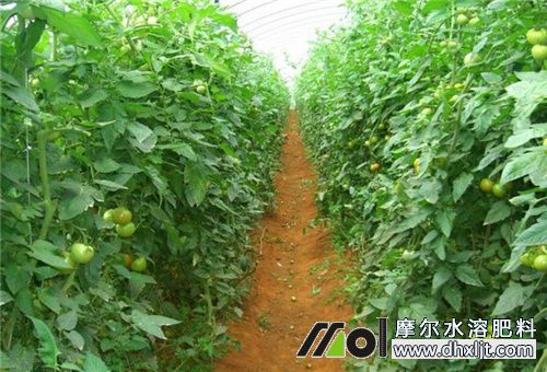 ���ѷNֲע��