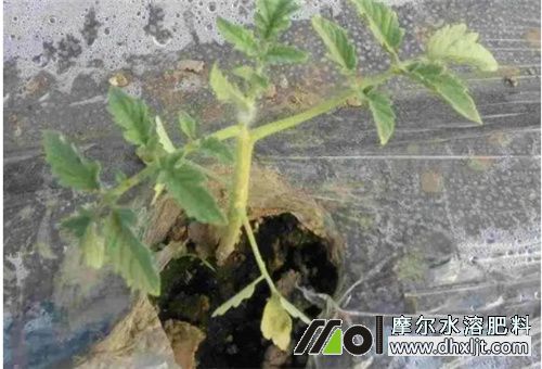 ���ѷʺ��A����ʩ