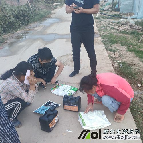 Ħ���Ͽ͑��鿴�����f��