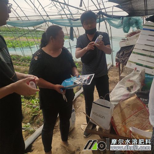 �Nֲ���˽����ͷ��σ���2