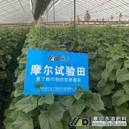 Ħ�������S��ԇ���