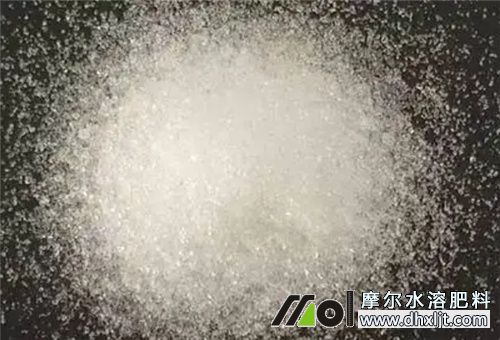 水沖肥種類 水沖肥種類