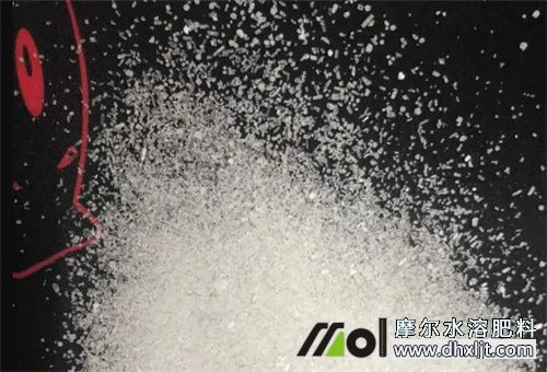 沖施肥養(yǎng)分成分 沖施肥養(yǎng)分成分