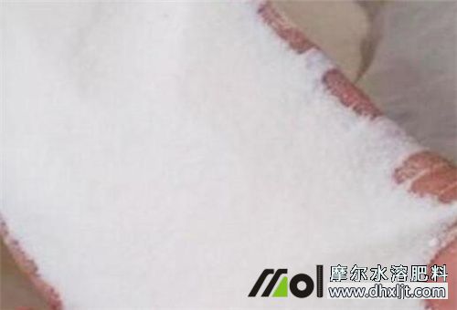 沖施肥粉劑 沖施肥粉劑