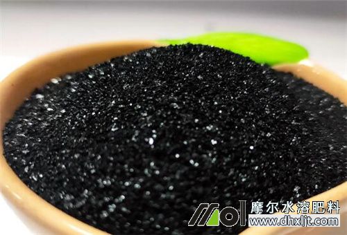 礦源黃腐酸鉀 礦源黃腐酸鉀