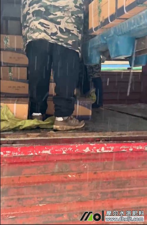 Ħ���S�^�ѩ�l؛��