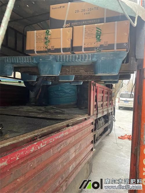 Ħ���S�^�ѩ�l؛��2