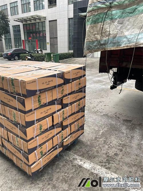 Ħ���S�^�ѩ�l؛��3