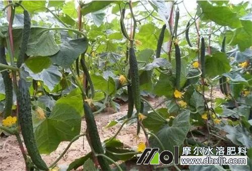 �ļ��_ʩ�ʕr�g