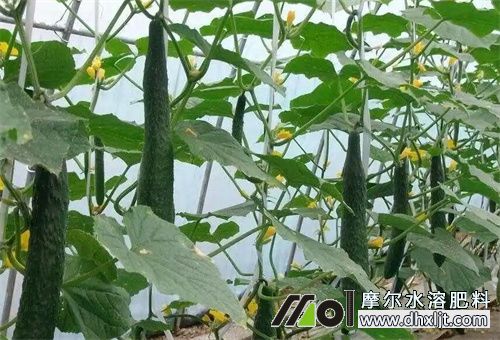 �ļ��_ʩ�ʕr�g