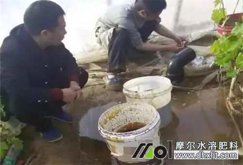 �_ʩ��ʹ�ý���