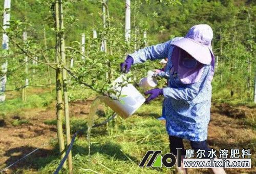 高溫干旱如何施肥 高溫干旱如何施肥