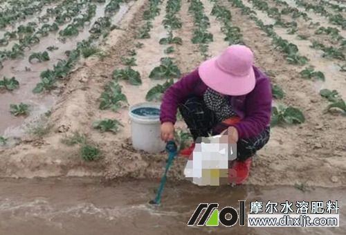 �_ʩ�ʵ��x��