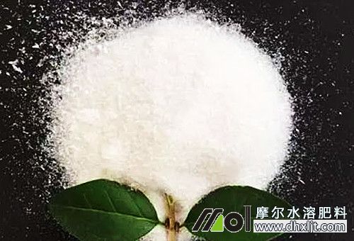 怎樣用好沖施肥 怎樣用好沖施肥