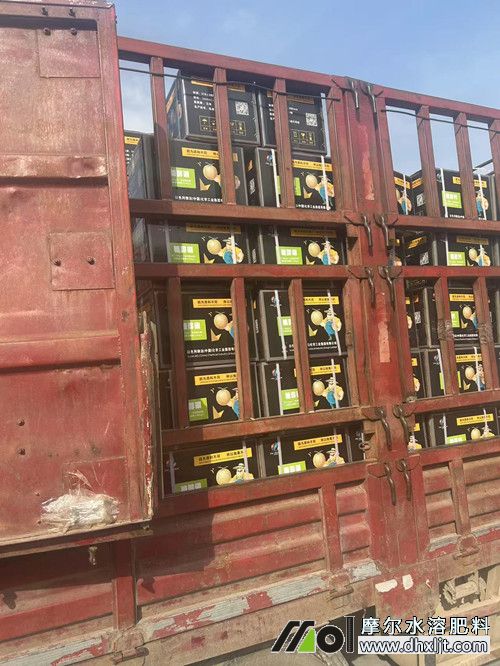 �İ������Ǵ����ϰl(f��)������ĳ��4