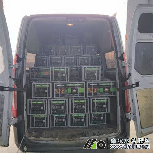 ���ꖿ͑���؛���T2