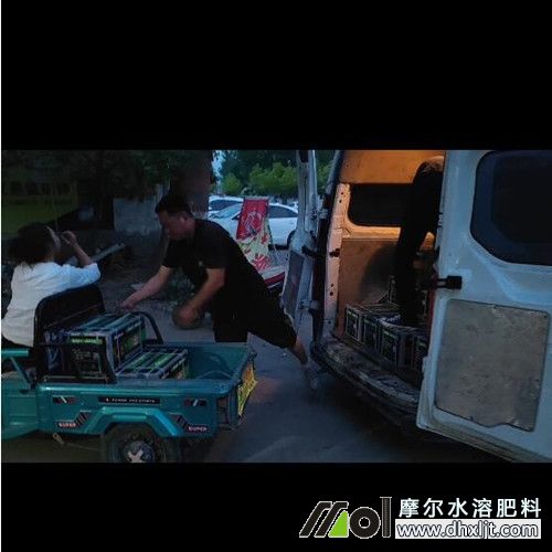 ���ꖿ͑���؛���T1