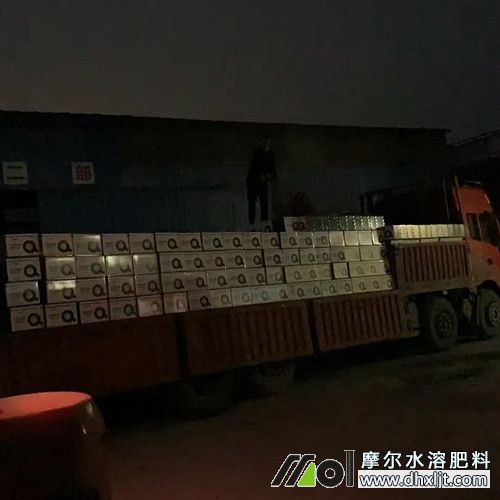 為新疆客戶裝車發貨3 為新疆客戶裝車發貨3