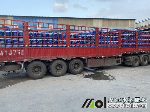 ���Ͽ͑�ӆُ30��Ħ������2